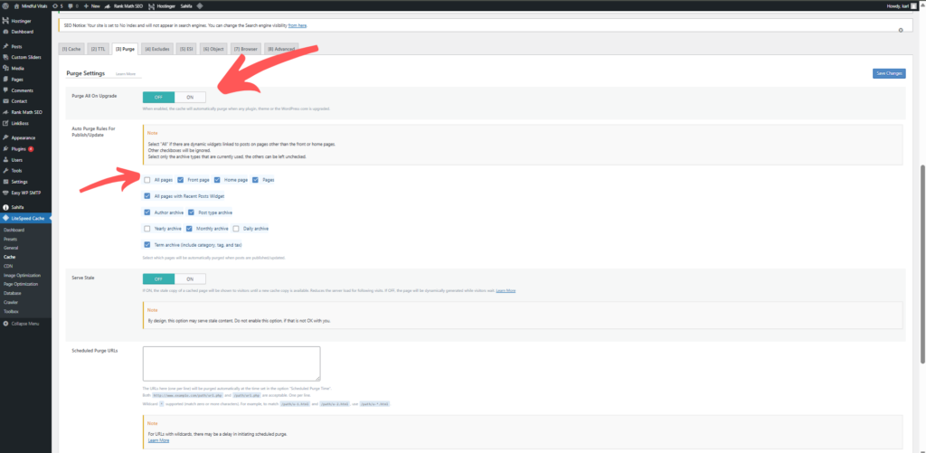 Managing Cache Purging Options