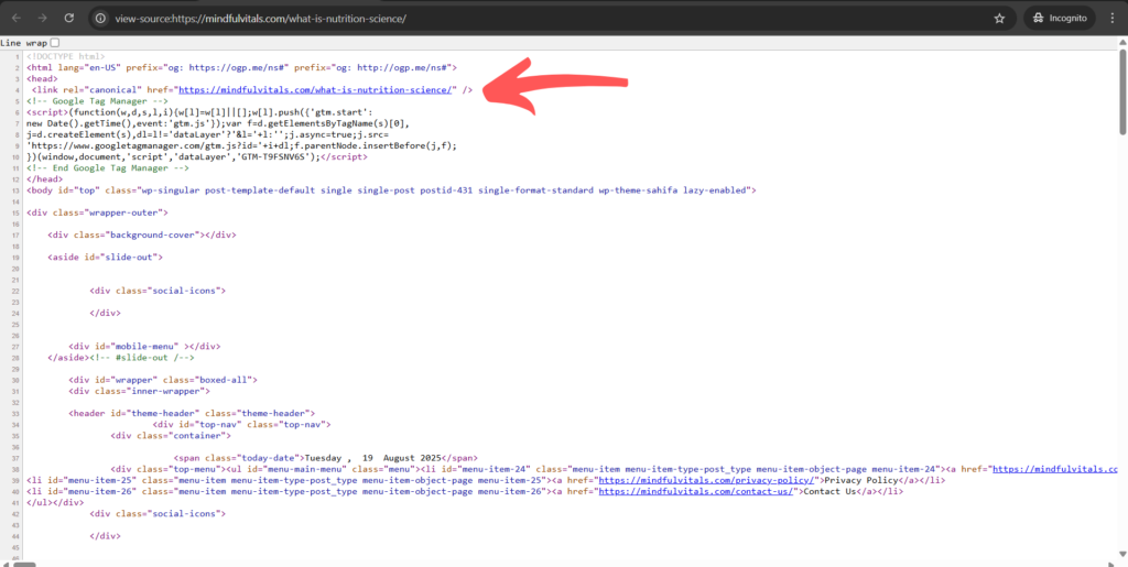 Validating Canonical Implementation